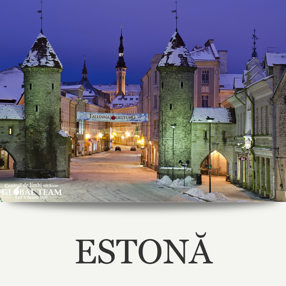 Cursuri de limba Estona Centrul de limbi straine Global Team